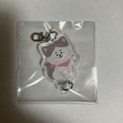 [전용]BT21 연결하는 매력 가챠 CAT DAY RJ