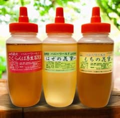 仁さま専用 生はちみつ 特選もち・はぜ・さくらんぼ系百 300g3本セット