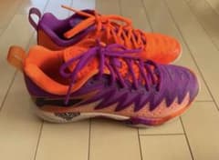 リーニン　バドミントンシューズ　25.0