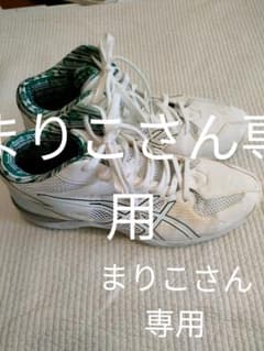 【最終値下】アシックス　バスケットボールシューズ　29cmのサムネイル