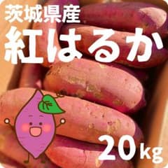 訳あり野菜】茨城県産 さつまいも 紅はるか 土付き 20kg - メルカリ