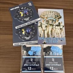 ヤクルトスワローズ2026株主優待品のサムネイル