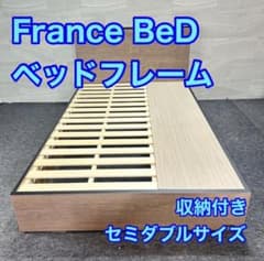 France BeD ベッドフレーム セミダブル コンセント付 家具 d6273 France BeD ベッドフレーム セミダブル コンセント付 家具 d6273