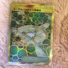 ポケモンカード エーテルパラダイス保護区 URのサムネイル