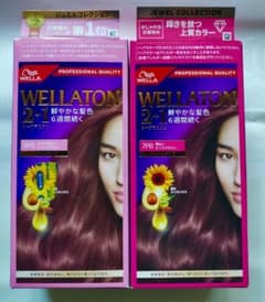 2826年購入、未開封2箱 WELLA WELLATON 2+1 9PB・7PB - メルカリ