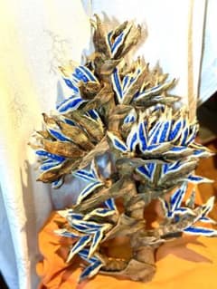 70 旅人の木 期間限定割引 今季宮古島産10房 - メルカリ