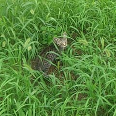 mayumayu様専用のサムネイル