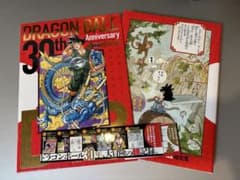 드래곤 볼 30th Anniversary 초사집