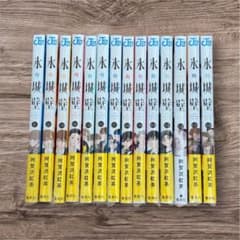 シュリンクつき未使用】氷の城壁 1～14巻 全巻セット 集英社 - メルカリ