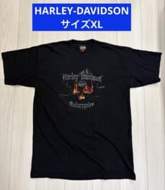 セール00sハーレーダビッドソン Tシャツ ファイヤースカル 2004年 XLのサムネイル