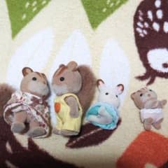 いちご様専用のサムネイル