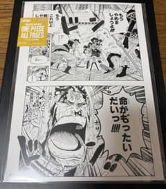 ONE PIECE BASE SHOP ALL PAGES コビー 頂上戦争 - メルカリ