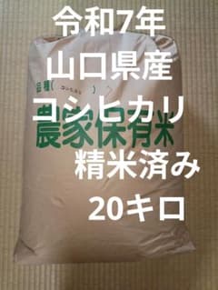令和7年 山口県産 コシヒカリ 精米済み 20キロ - メルカリ
