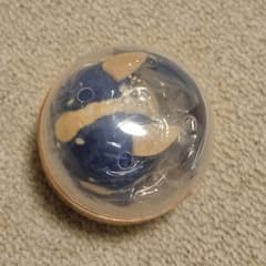 てのひらウミウシぬいぐるみ 茶々 アオウミウシのサムネイル