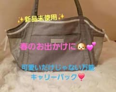 Luxembourg birdie ペット用キャリーL Luxembourg birdie ペット用キャリーL - メルカリ