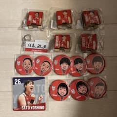 バレーボール女子日本代表 佐藤淑乃 キーホルダー コースター その他