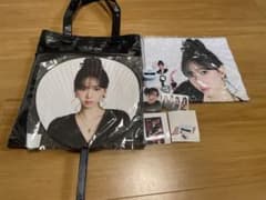 aespa2026ツアー aeXIS LIVE KARINA グッズセット aespa2026ツアー aeXIS LIVE KARINA グッズセット - メルカリ
