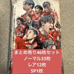 g*o様 バレーボール ツインウエハース 男子日本代表 まとめ売り 46枚セットのサムネイル