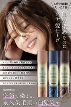 ☆大人気☆ヘアボーテエクラ　ボタニカルエアカラーフォームEXのサムネイル