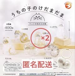 うちの子のけだまだま　茶トラのサムネイル