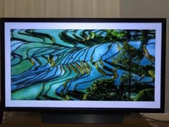 けんたん様 専用出品のサムネイル