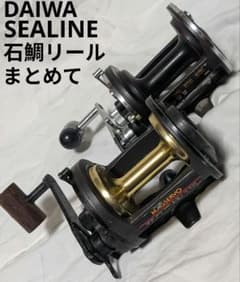 ダイワ　シーライン　マグサーボ　SS-50　両軸リール　大物　グレ　石鯛　タコ ダイワシーライン石鯛マグサーボSS-50&シーライン50H底物専用両軸