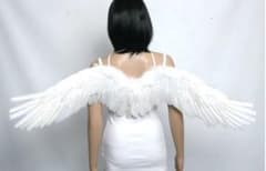 天使の羽　ホワイトのサムネイル