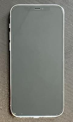 iPhone 12 Pro 256のサムネイル