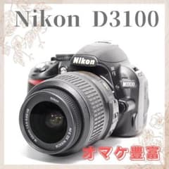 ☘️手振れ補正☘️Nikon D3100 デジタル一眼レフ 初心者向け！美品