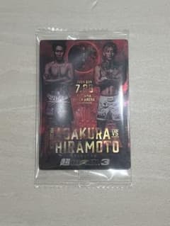 RIZIN シークレットのサムネイル