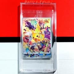 【R756】プレシャスコレクターボックス収録 ピカチュウ プロモ 未開封パック R756】プレシャスコレクターボックス収録 ピカチュウ プロモ 未開封