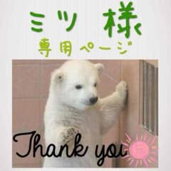 ミツ様【専用ページ】のサムネイル