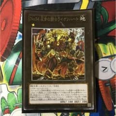 遊戯王 No.54 反骨の闘士ライオンハートのサムネイル