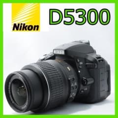 ご家族の成長記録に❤️Nikon D5300✨手ブレ補正＆WiFiでスマホ転送