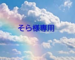 そら様専用のサムネイル