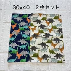 ランチョンマット ランチクロス 30×40 2枚セット ハンドメイド 恐竜