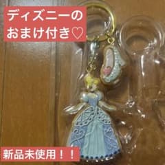 ディズニープリンセス シンデレディズニーランド キーホルダー