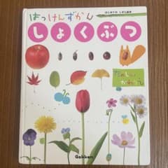 はっけんずかんしょくぶつのサムネイル