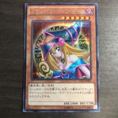 ゆーさん様専用のサムネイル