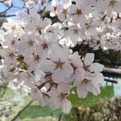 るる様専用のサムネイル