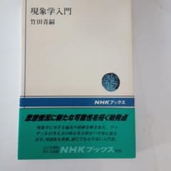 現象学入門のサムネイル