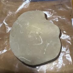 梅の木に生えた天然のサルノコシカケ約10cm 冷え対策、抗癌作用効果 梅の木に生えた天然のサルノコシカケ約10cm 冷え対策、抗癌作用効果