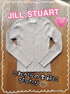 JILL STUART ジルスチュアート ニット　ライトグレー ベージュ　長袖のサムネイル