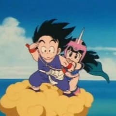 イルルカのサムネイル