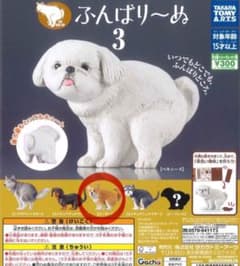 ふんばり〜ぬ 3 コーギーのサムネイル