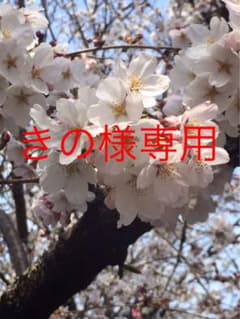 きの様専用のサムネイル