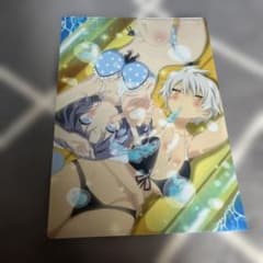 閃乱カグラ ESTIVAL VERSUS GEO特典クリアファイルのサムネイル