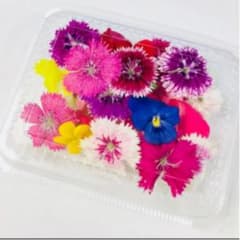 無農薬エディブルフラワーのサムネイル