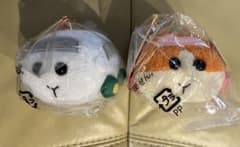 PUI PUI 몰카 마스코트 봉제인형 감자 시로모