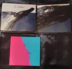 Mr.Children senseのサムネイル